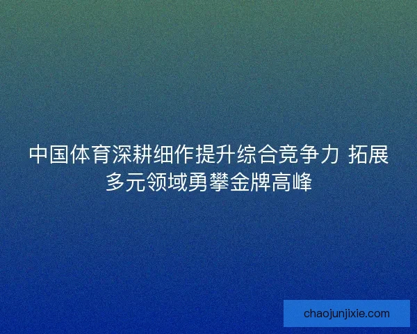 中国体育深耕细作提升综合竞争力 拓展多元领域勇攀金牌高峰