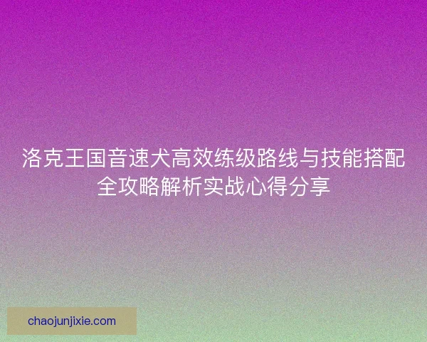 洛克王国音速犬高效练级路线与技能搭配全攻略解析实战心得分享